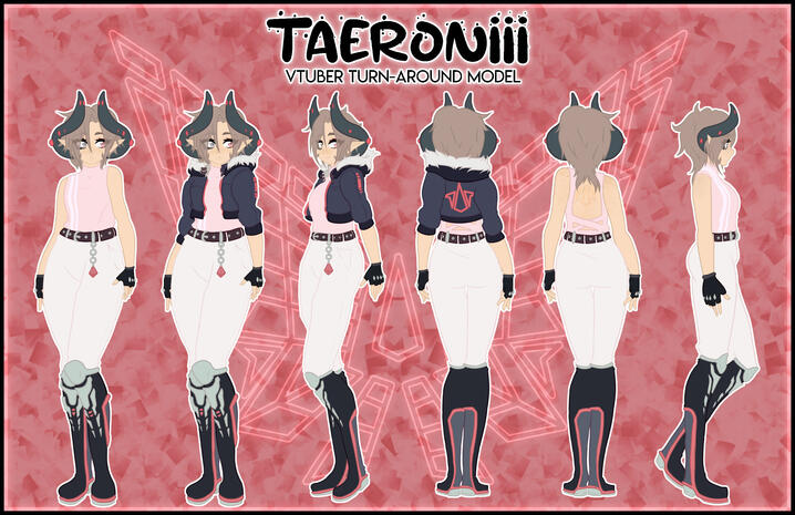 Taero Turnaround Model Taero Turnaround Model